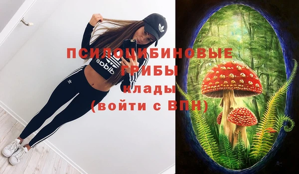 героин Сатка