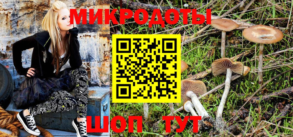 Псилоцибиновые грибы Cubensis Апшеронск